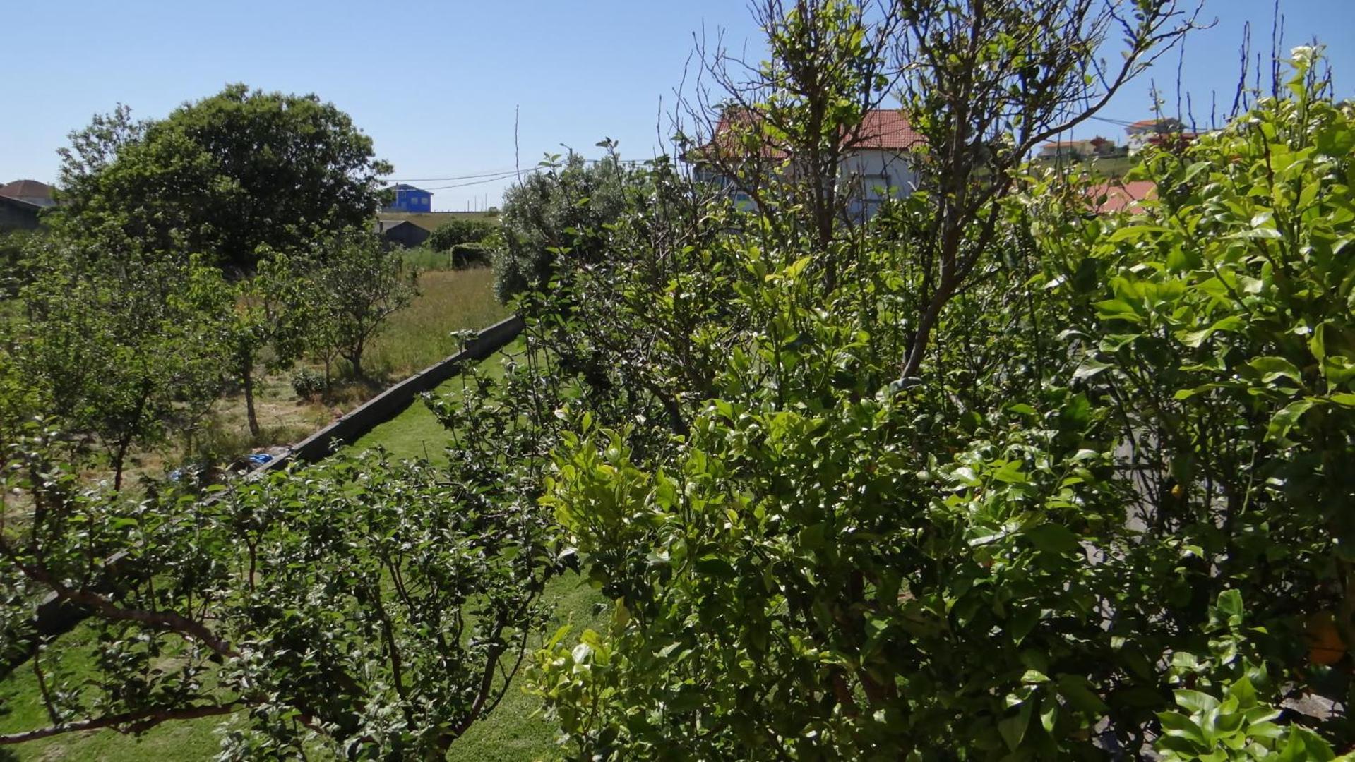 Villa Casa De Lolo En Larino Carnota Esterno foto